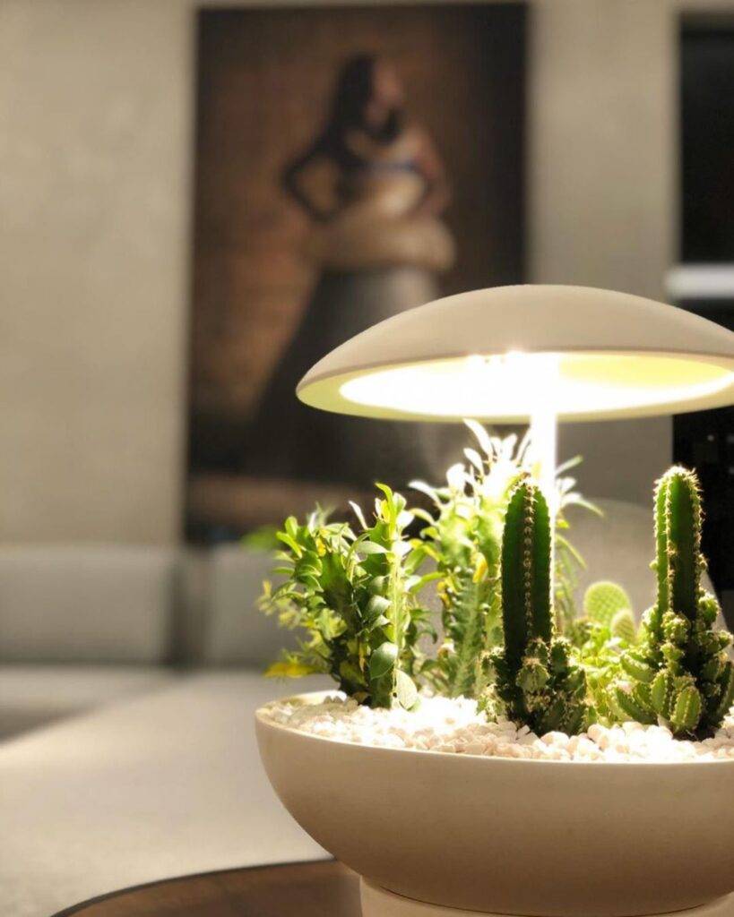 GEOLUZCERAMICA
