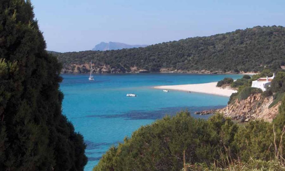 traslochi in sardegna